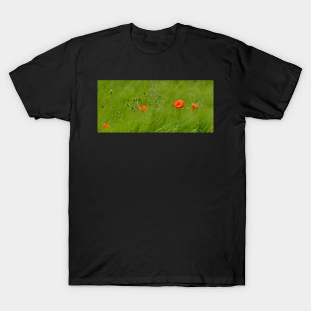 Poppies in Wheat Field T-Shirt by jojobob